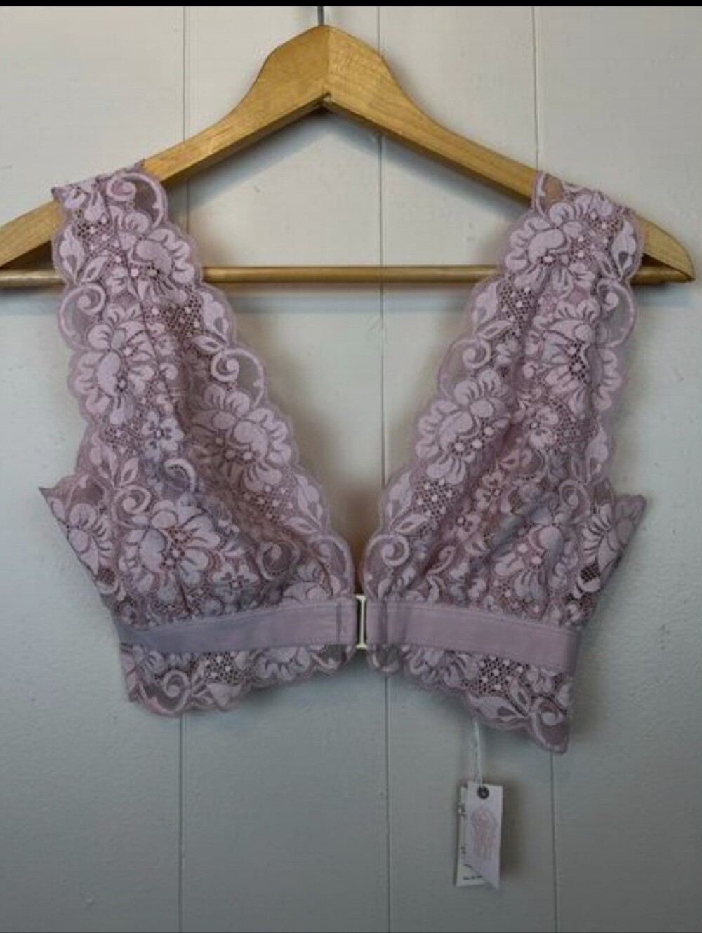 Free People Lace Plunge Bodysuit Bralette in Dusty Mauve